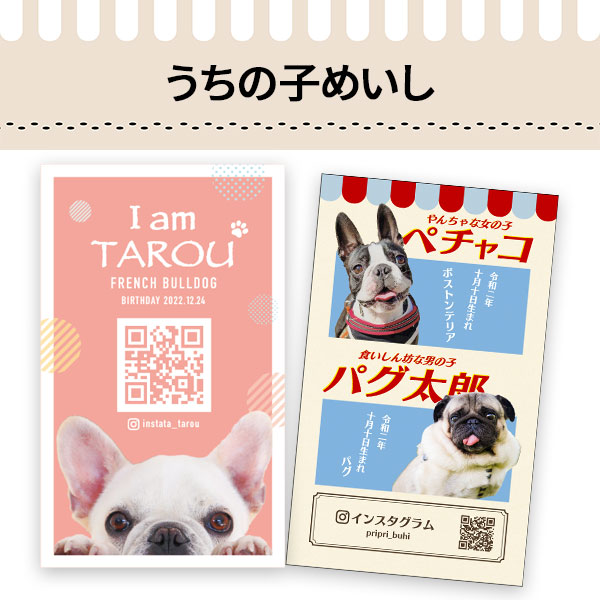 うちの子めいし